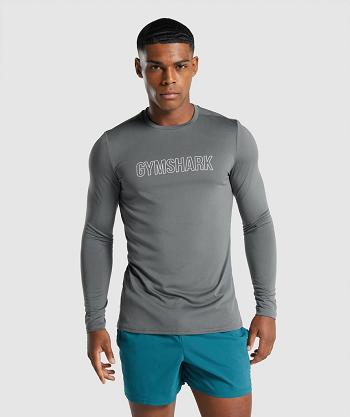 Gymshark Arrival Graficke Muške Dugi Rukav Sive | HR 2642SGL